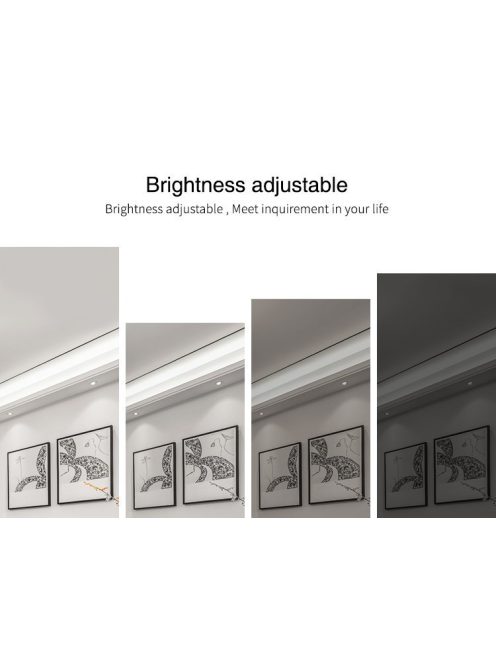 2,4G MiLight egyszínű fényerőszabályzó (FUT036S)