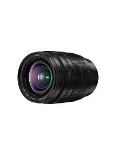 Panasonic H-X1025E