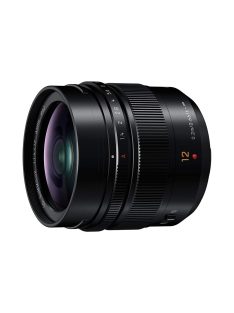 Panasonic H-X012E