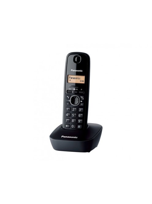 Panasonic KX-TG1611HGH