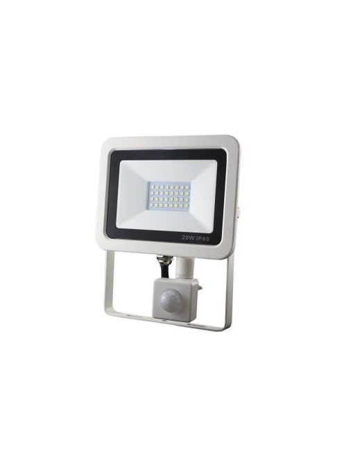 Life Light LED LLR20WMOZSMDW6000K