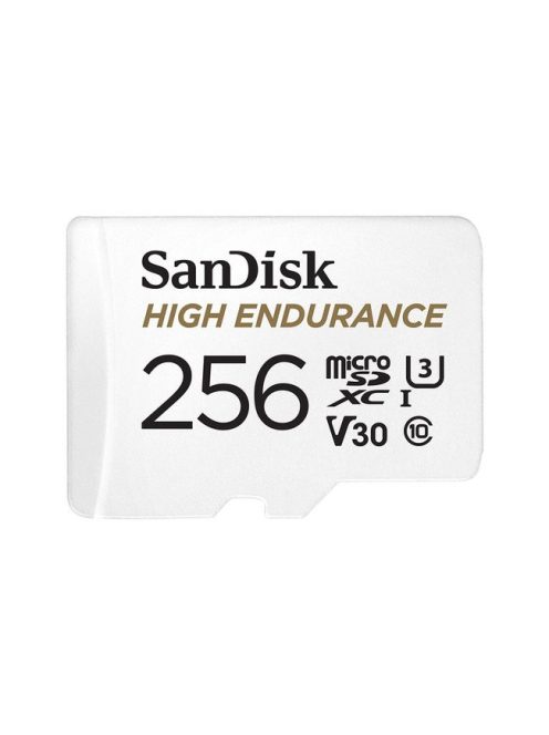 SanDisk microSDXC High Endurance 256GB
