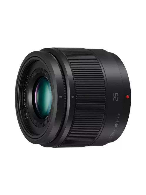 Panasonic H-H025E-K