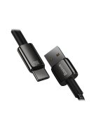 Baseus Tungsten Gold USB - USB-C Kábel, 100W, 2m (fekete)