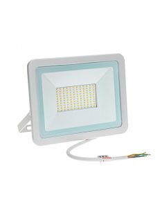 NOCTIS LUX 2 SMD 230V 100W IP65 CW fehér