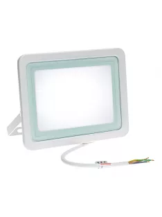 NOCTIS LUX 2 SMD 230V 100W IP65 CW fehér