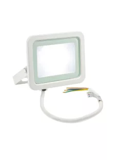 NOCTIS LUX 2 SMD 230V 20W IP65 CW fehér (SLI029042CW)