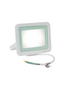 NOCTIS LUX 2 SMD 230V 30W IP65 NW fehér