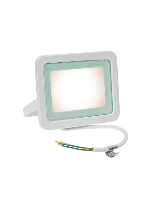 NOCTIS LUX 2 SMD 230V 30W IP65 WW fehér