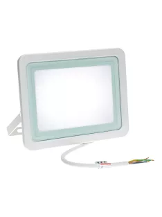 NOCTIS LUX 2 SMD 230V 50W IP65 CW fehér