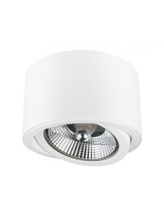 CHLOE AR111 IP20 kerek fehér billenthető