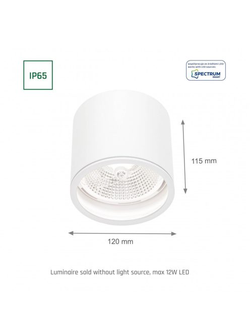 CHLOE AR111 GU10 IP65 round white