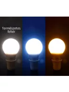 LED GLS E27 230V 7W=44W NW (WOJ13897)