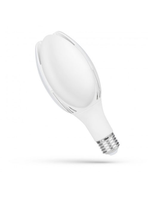 LED PARK LAMP ECO 50W E27 IP20 NW (WOJ80725)