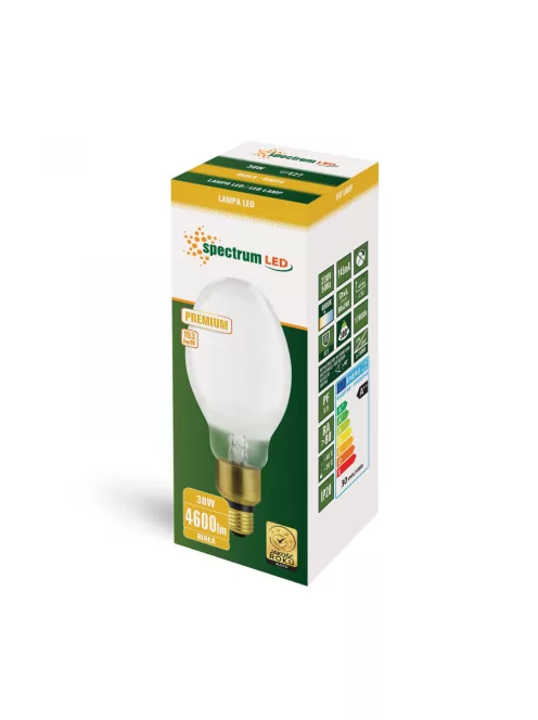 LED PARK LAMP COG 30W E27 IP20 NW (WOJ80734)